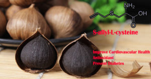 S-allyl-L-cysteine(SAC)