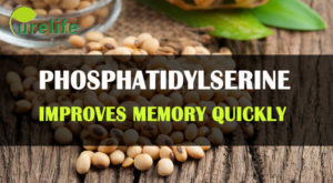 Phosphatidylserine improves memory