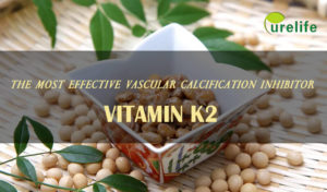 Vitamin K2 is the most effective vascular calcification inhibitor