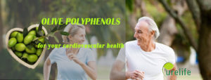 Olive polyphenols