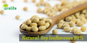 Natural Soy Isoflavones 90%