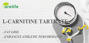 L-carnitine tartrate fat loss