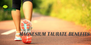Magnesium Taurate supplements benefits