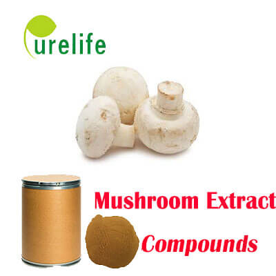 Mushroom Compound Extract - Purelife bio