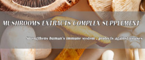 Mushrooms extracts complex supplement