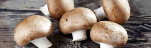 Mushrooms extracts complex supplement 2