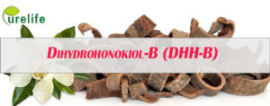 What is DHH-B