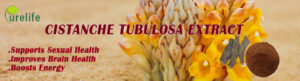 Cistanche Tubulosa Extract Supplement