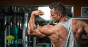 Cyanotis Arachnoidea Extract Ecdysterone supplement